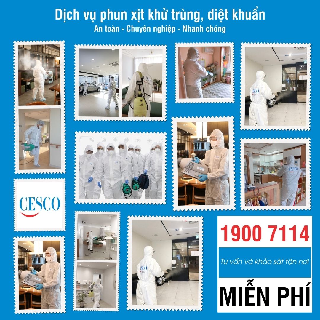 Dịch vụ phun khử trùng - Công Ty TNHH CESCO Việt Nam
